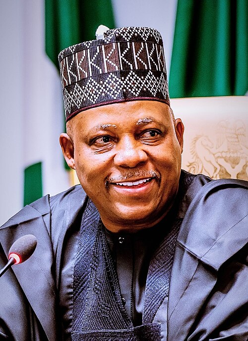 Portrait of Kashim Shettima