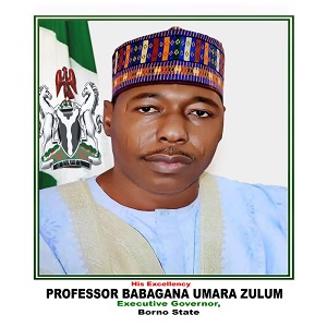 Portrait of Babagana Zulum