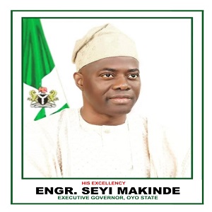 Portrait of Seyi Makinde